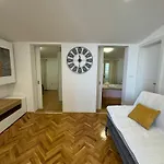 Apartment Drago